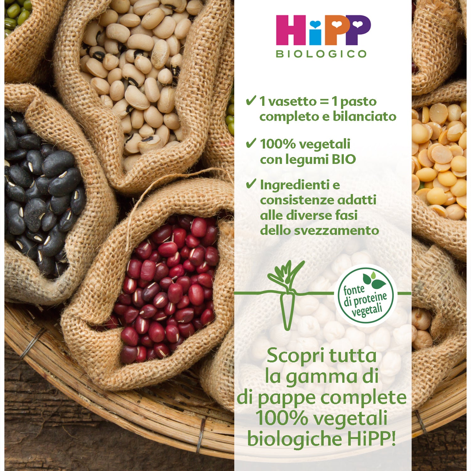 Hipp - Pappa Pronta Spaghetti Al Ragù Di Lenticchie: Confezione 250 gr