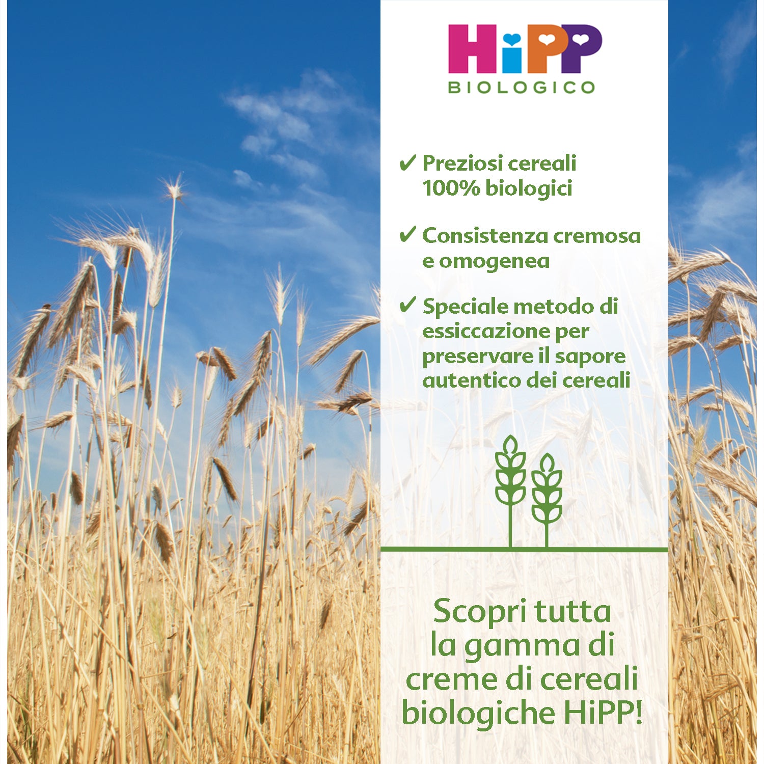 Hipp - Crema Di Avena: Confezione 200 gr