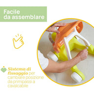 Chicco - First Steps Turtle 2 in 1