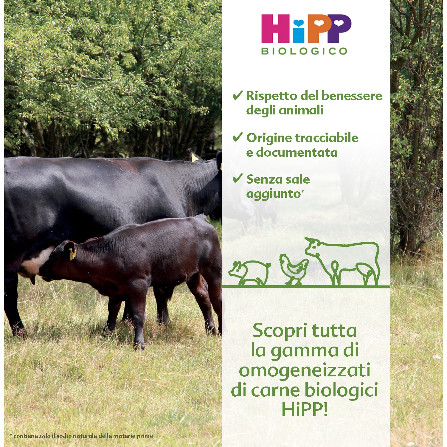 Hipp - Omogeneizzato Carne Tacchino: Confezione 2x80 gr