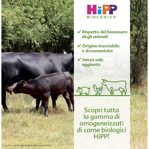 Hipp - Omogeneizzato Carne Agnello Con Verdure: Confezione 2x80 gr