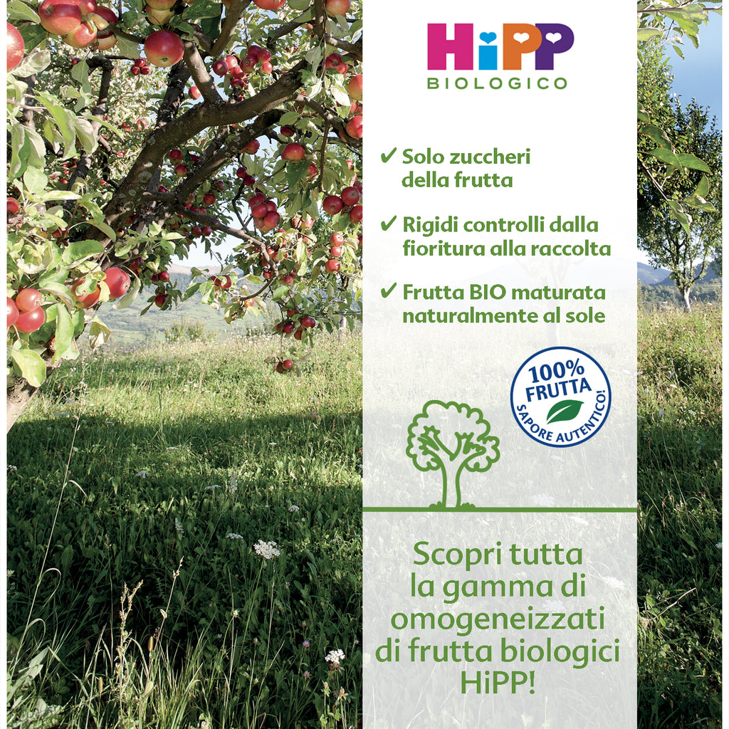 Hipp - Omogeneizzato Tesori Di Frutta Mela Fragola E Lampone: Confezione 160 gr