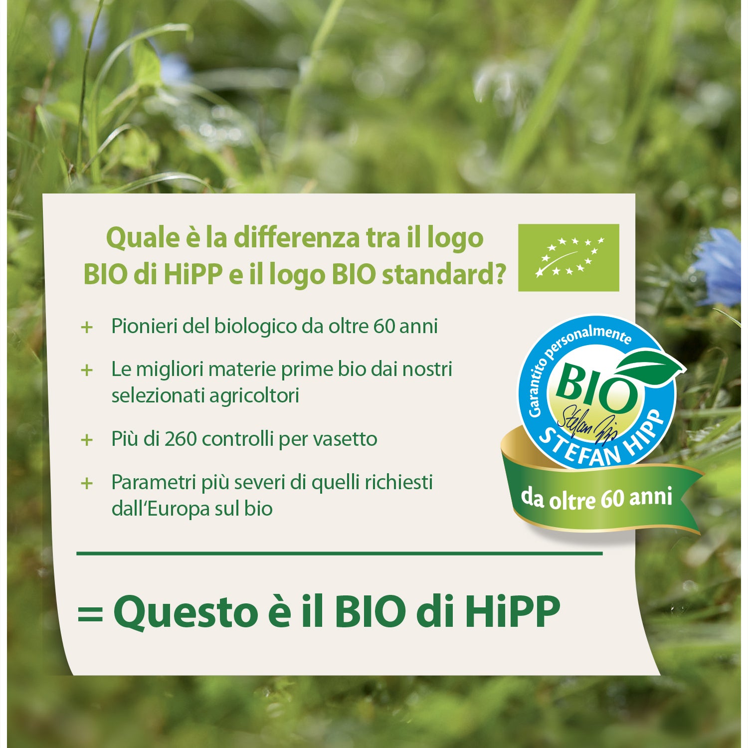 Hipp - Lasagne With Bolognese Sauce 250gr