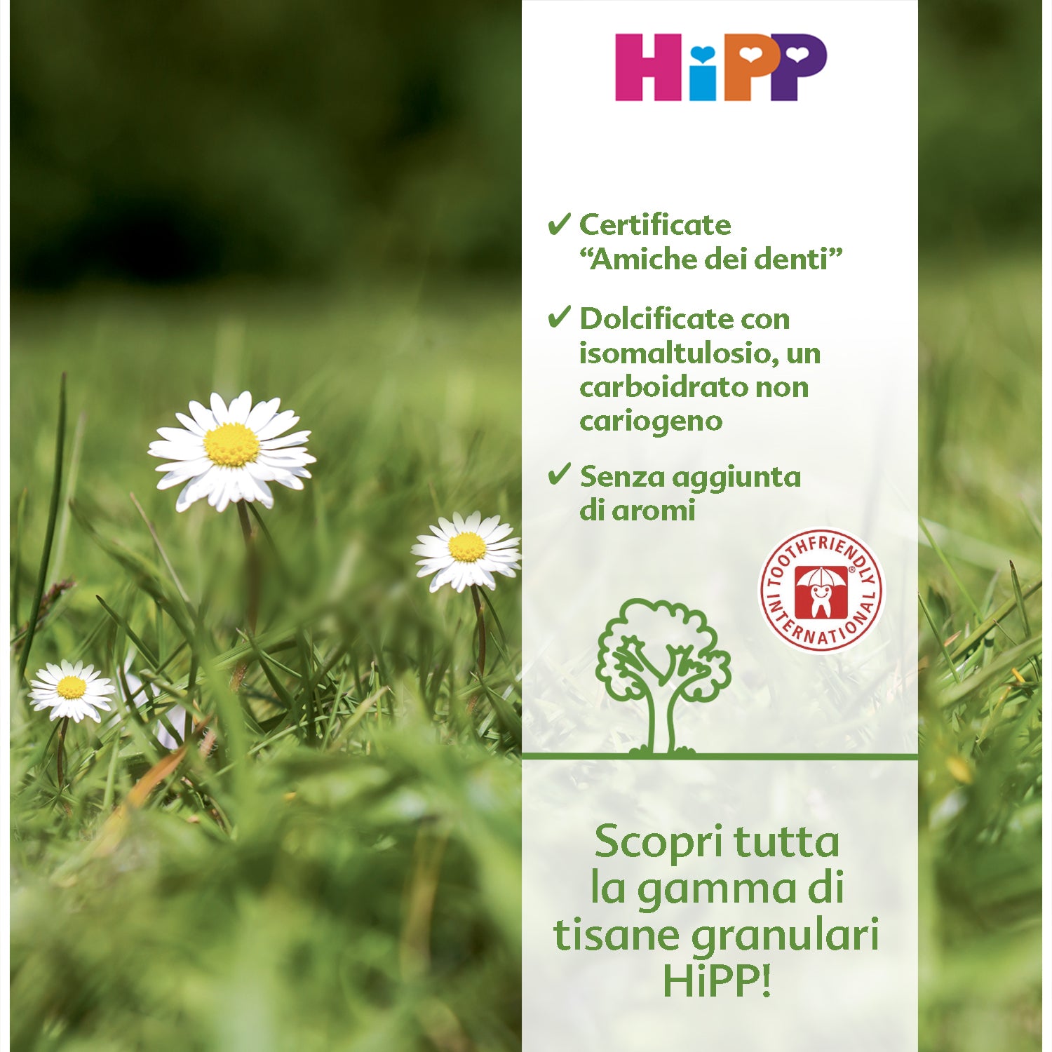 Hipp Fennel 200gr