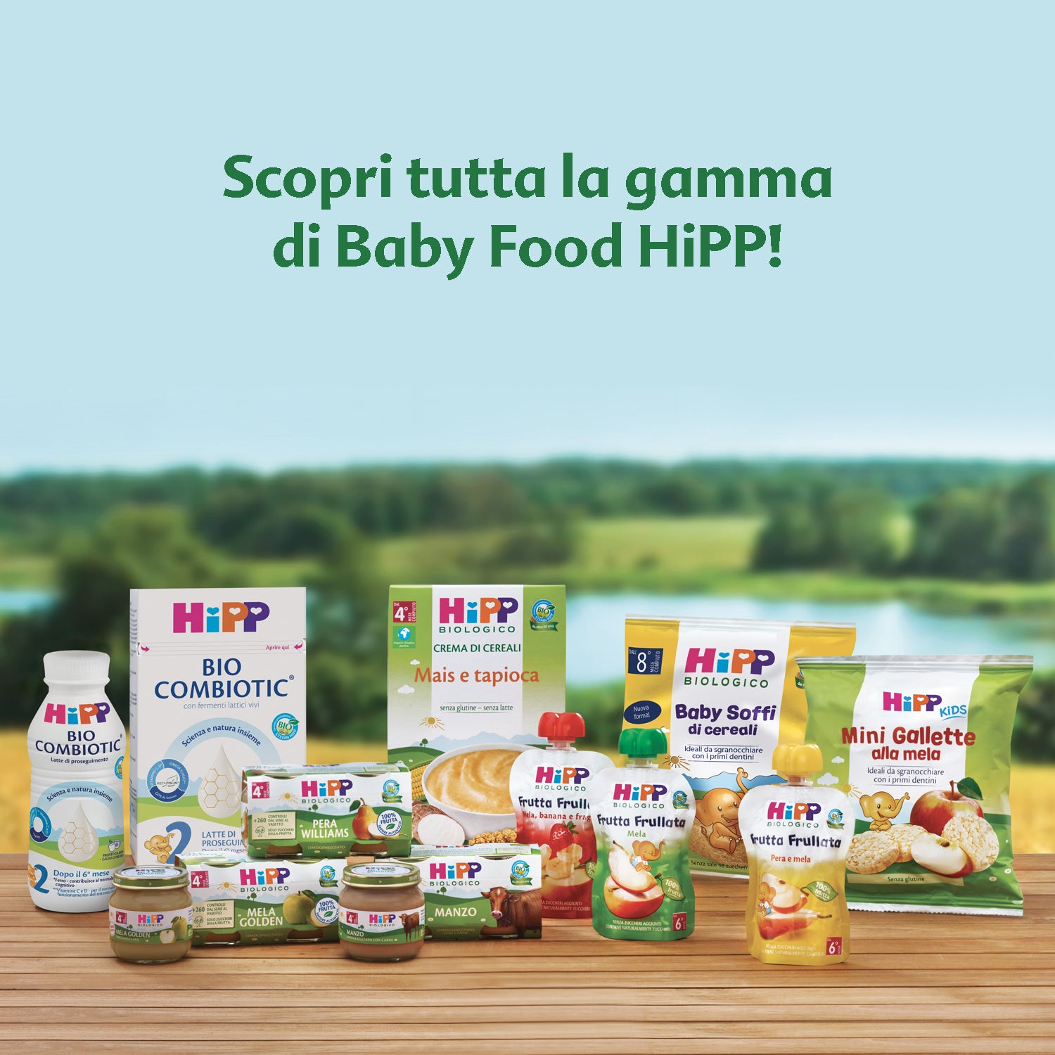 Hipp - Gallette Di Riso Mirtillo: Confezione 35 gr