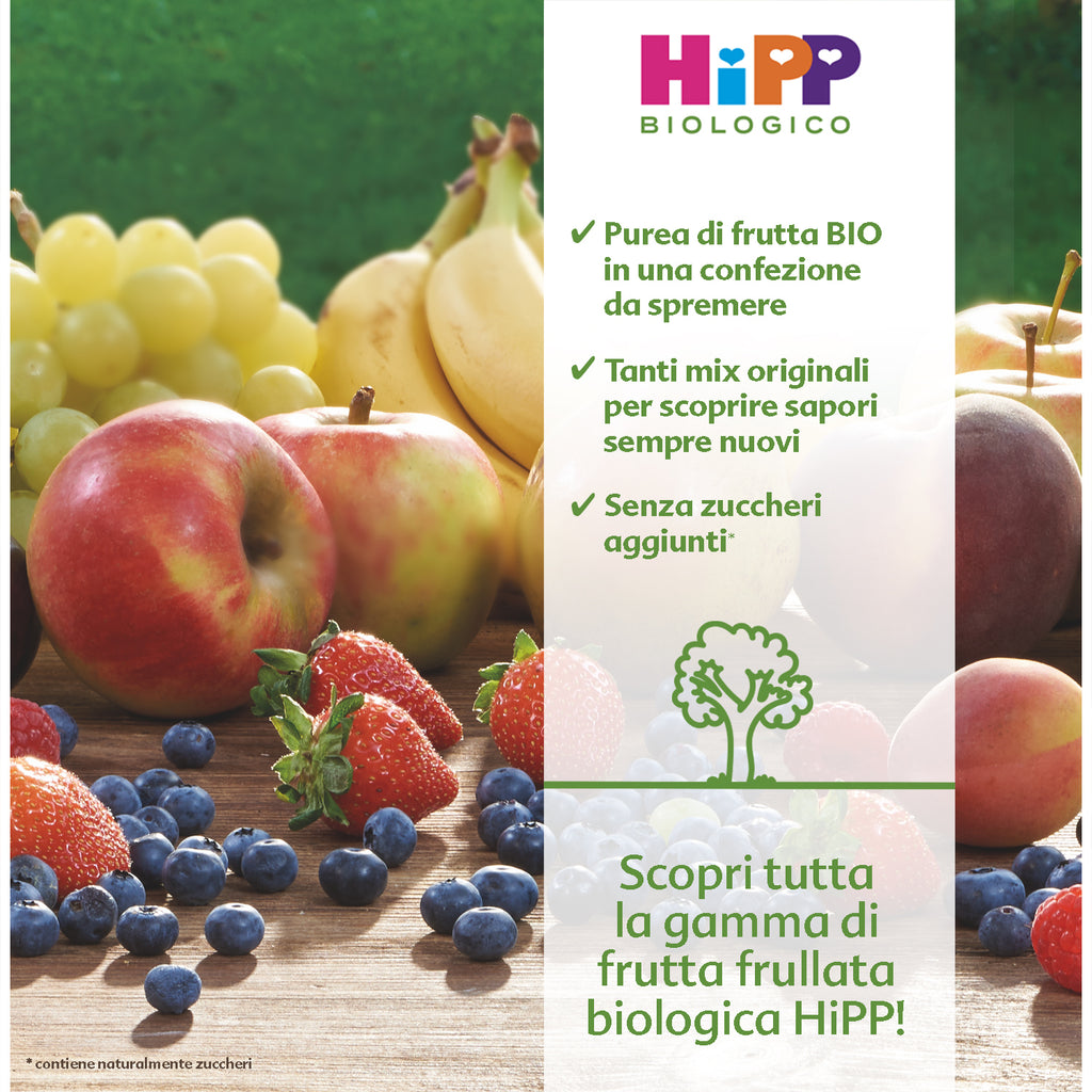 Hipp - Frutta Frullata Mela Fragola Lampone Banana & Yogurt 90gr