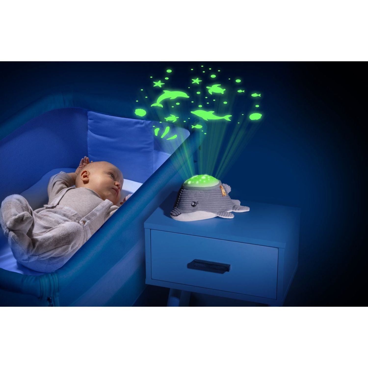 Chicco - First Dream - Delfino Dolce Notte