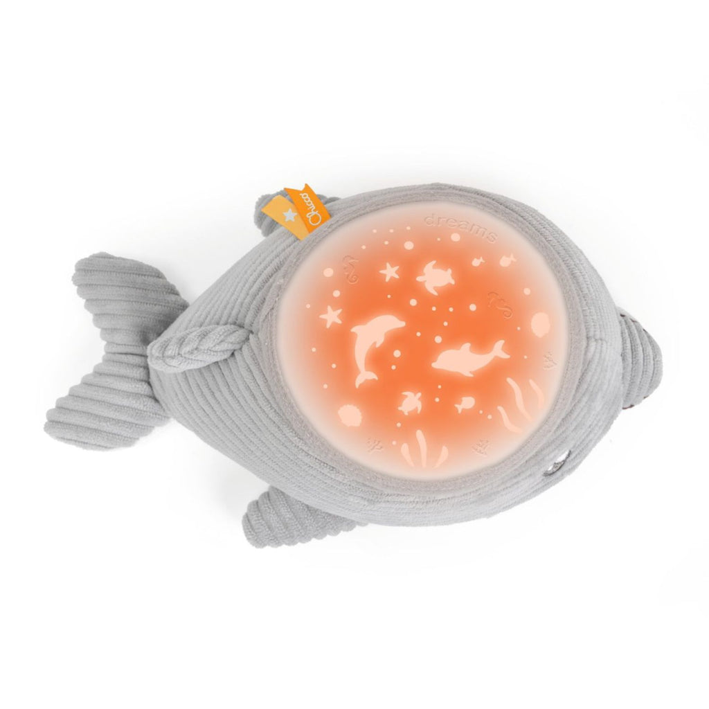 Chicco - First Dream - Delfino Dolce Notte