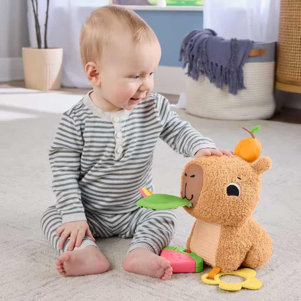 Fisher Price - Marmotta Coccole E Merenda HYR54