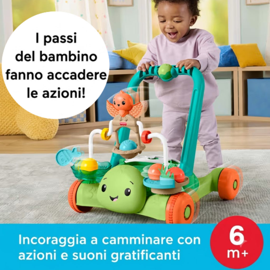 Fisher Price - Tartaruga Primi Passi JKD63