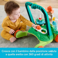Fisher Price - Tartaruga Primi Passi JKD63
