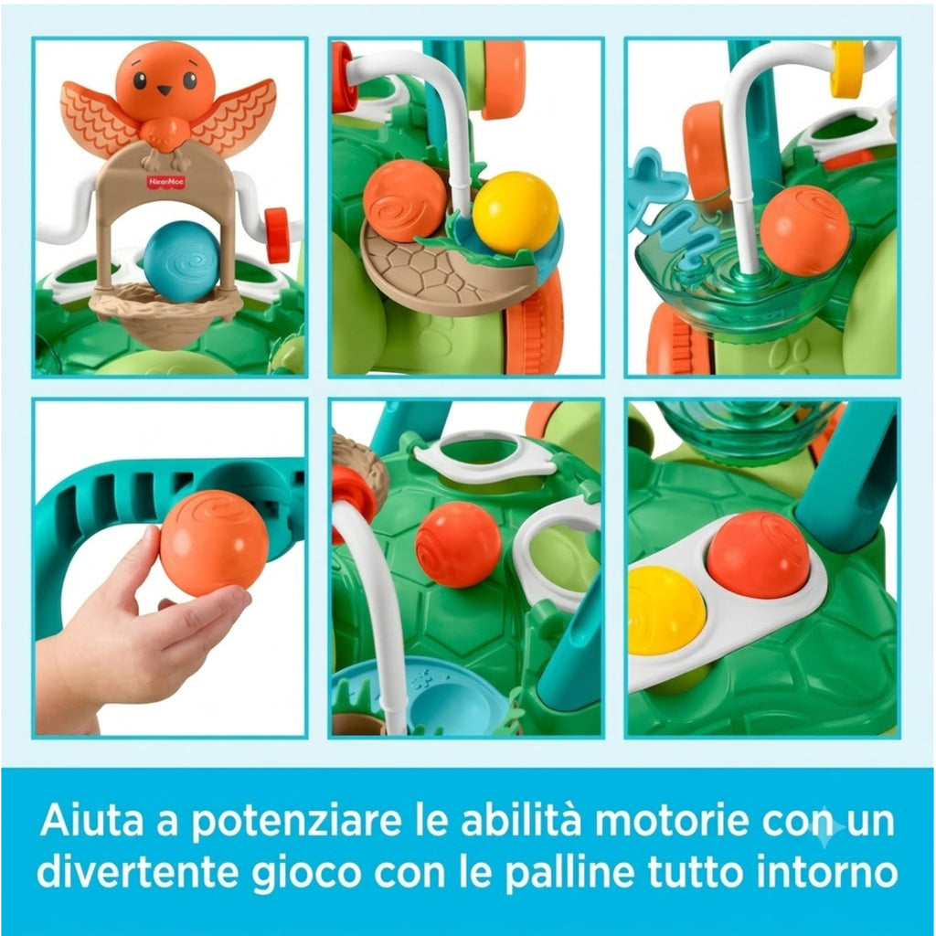 Fisher Price - Tartaruga Primi Passi JKD63
