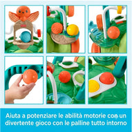 Fisher Price - Tartaruga Primi Passi JKD63