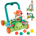 Fisher Price - Tartaruga Primi Passi JKD63