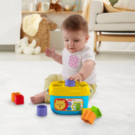 Fisher Price - Blocchi Assortiti FFC84
