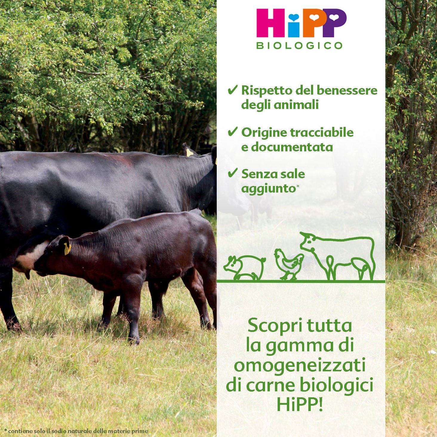 Hipp - Omogeneizzato Manzo 6x125g Multipack