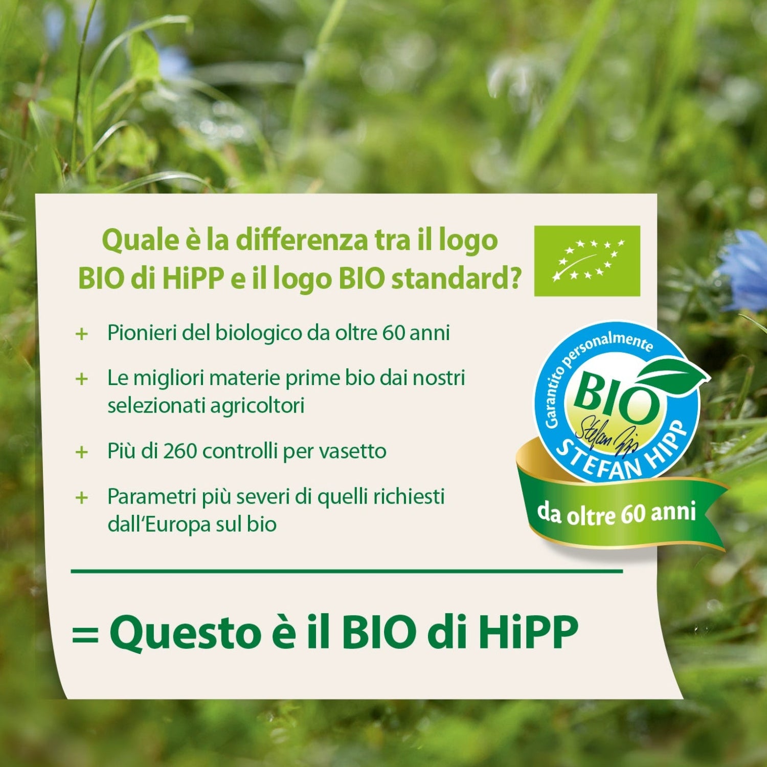 Hipp - Omogeneizzato Mela 6x125g Multipack