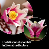 LEGO - Botanicals Rametti Di Magnolia 11510
