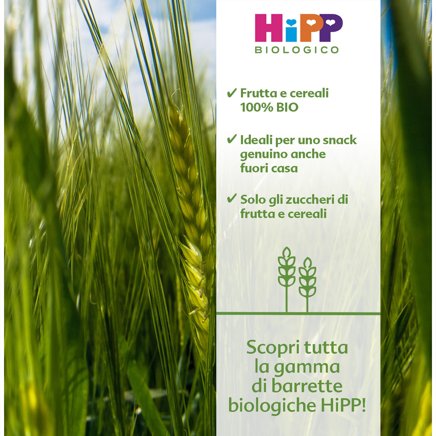 Hipp - Barretta Cereali Con Mela, Biscotto E Vaniglia: Confezione 20 gr