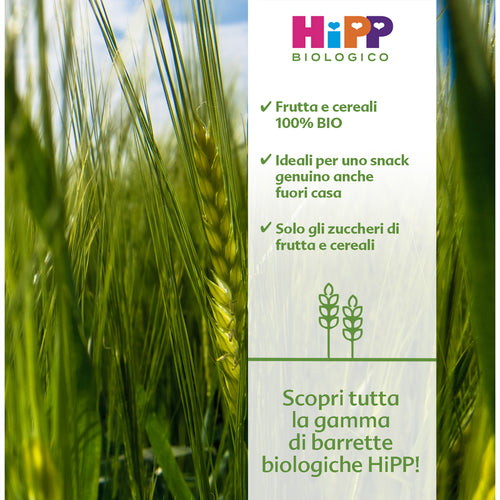 Hipp - Barrette Viva La Frutta Cereali Mela Pesca: Confezione 20 gr