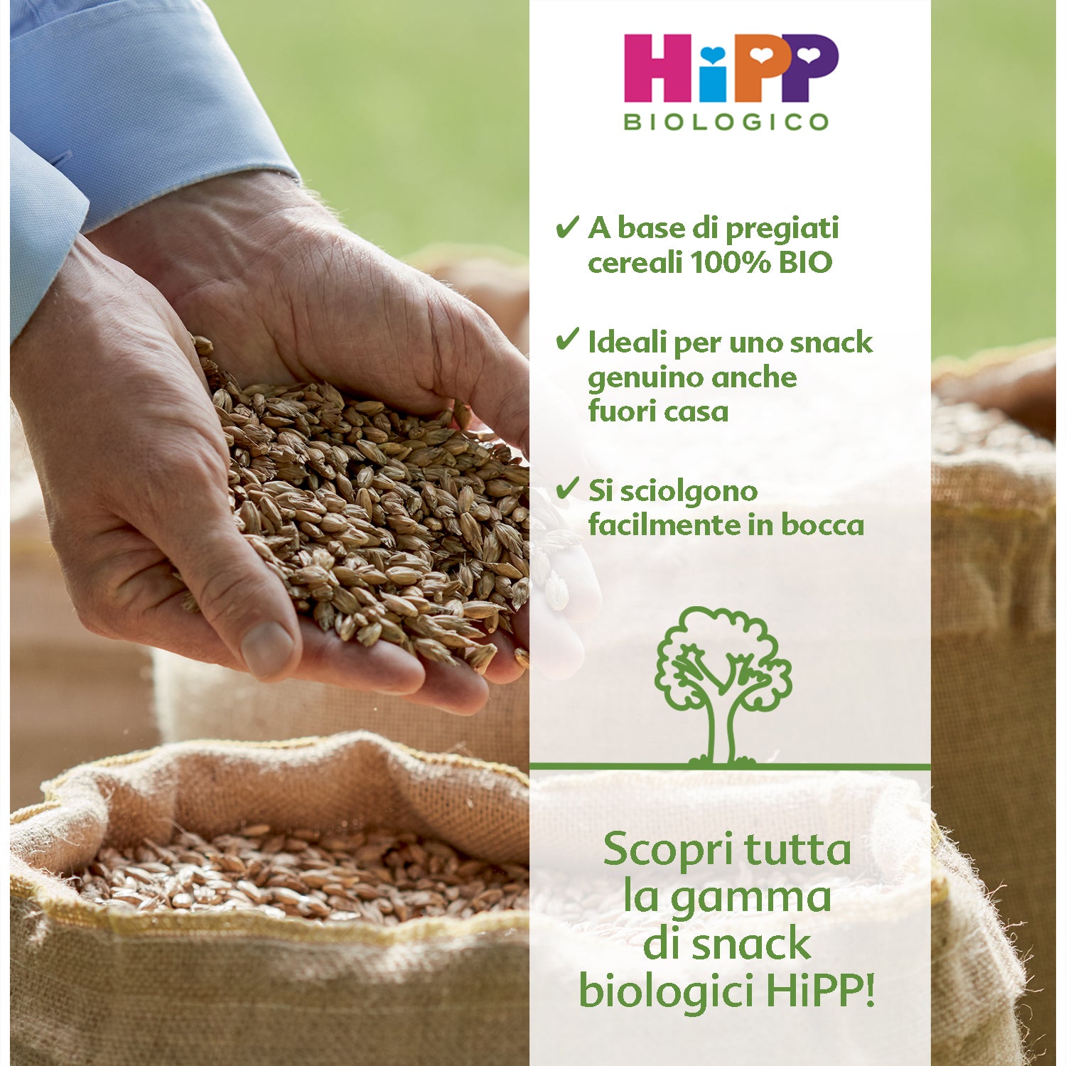 Hipp - Snack Soffi Di Cereali: Confezione 30 gr