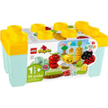 LEGO Duplo - My First Organic Garden 10984